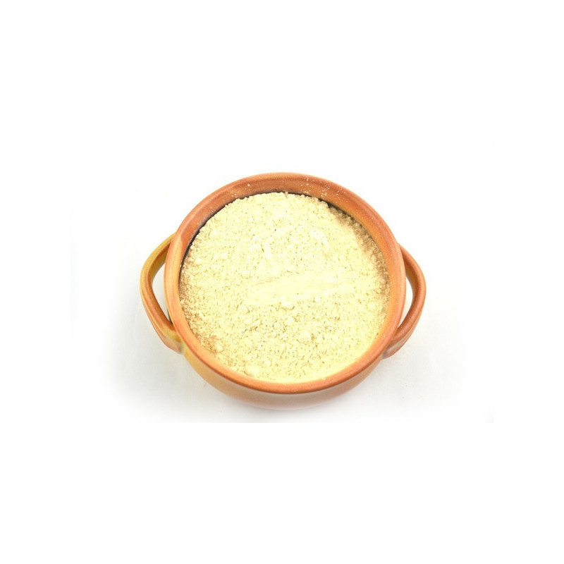 Ceapa pudra | condimente-online.ro by SpiceHub