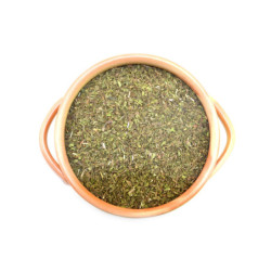 Menta | condimente-online.ro by SpiceHub