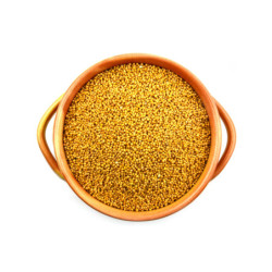 Mustar galben seminte | condimente-online.ro by SpiceHub