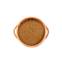 Condimente Pumpkin Pie | condimente-online.ro by SpiceHub
